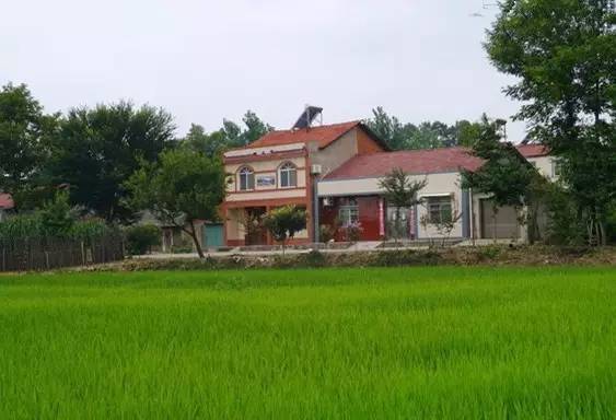 农村宅基地申请一直不给批,农村宅基地不予审批怎么办