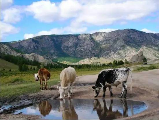 火车去青海沿途风景,青海人出国很难吗