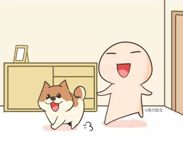 我家博美犬长得怎么样,博美犬8岁是老狗吗