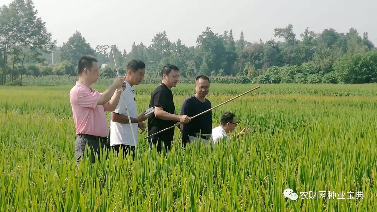 16个品种签约，收定金480万！商业化育种新模式获认可