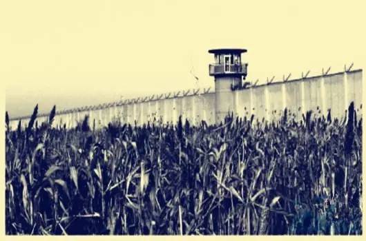 老北京最有名气的监狱,北京十大监狱的位置和特点