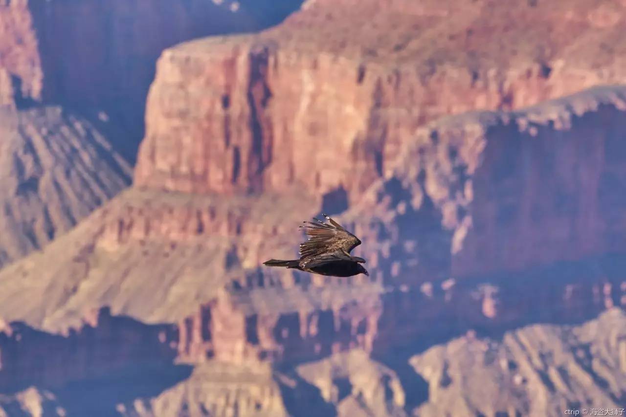 拉斯维加斯的魅力与神秘,拉斯维加斯神秘之城梦幻之旅