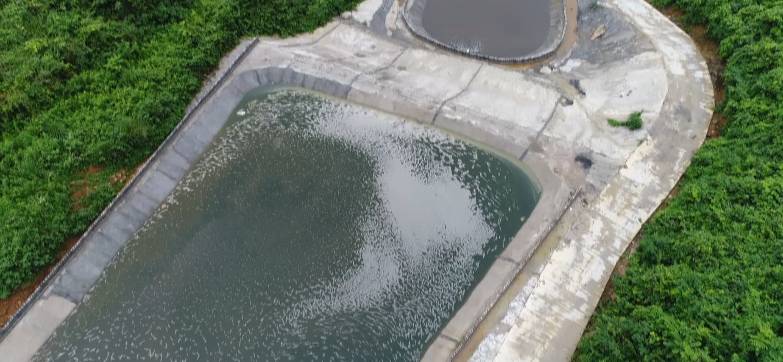 清理厕所大作战,猪粪自动清理