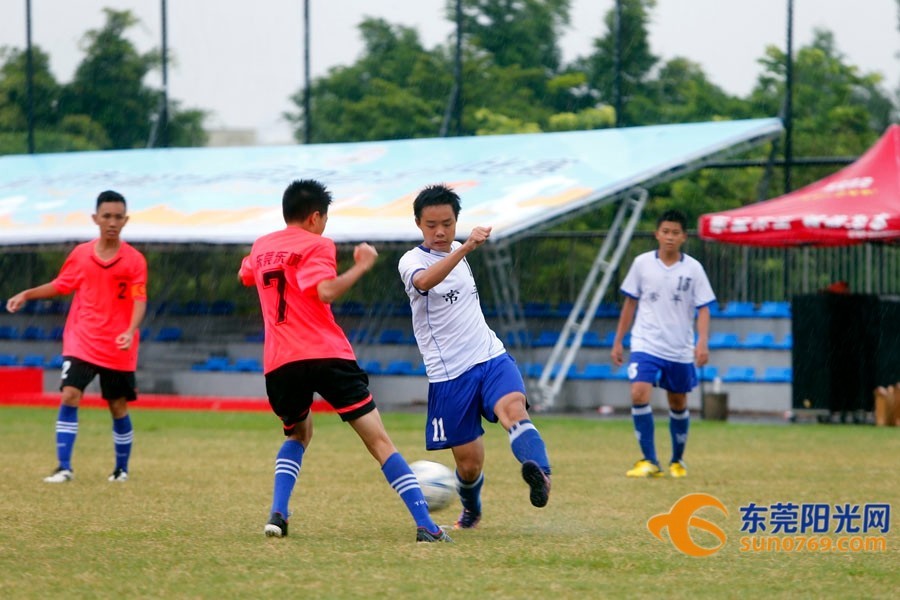 东莞市第十届市运会,东莞市2023年市运会