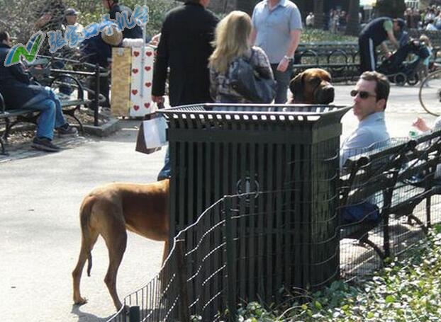 张家口新闻联播回放10月21号,张家口新闻台