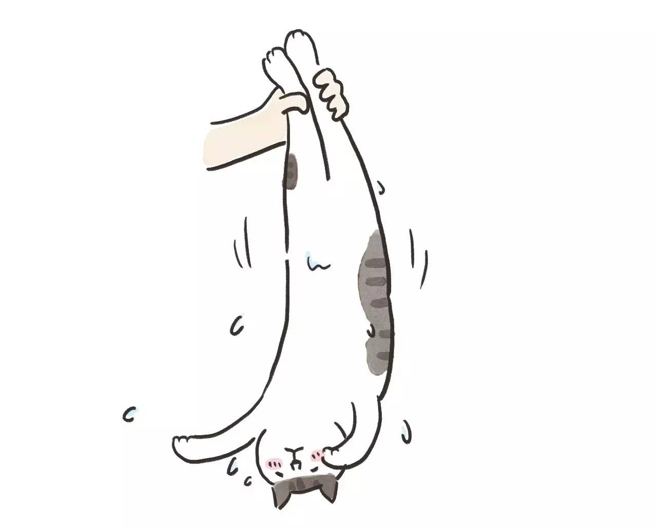 救命啊!主子溺水、触电、中毒了怎么办?!丨强档