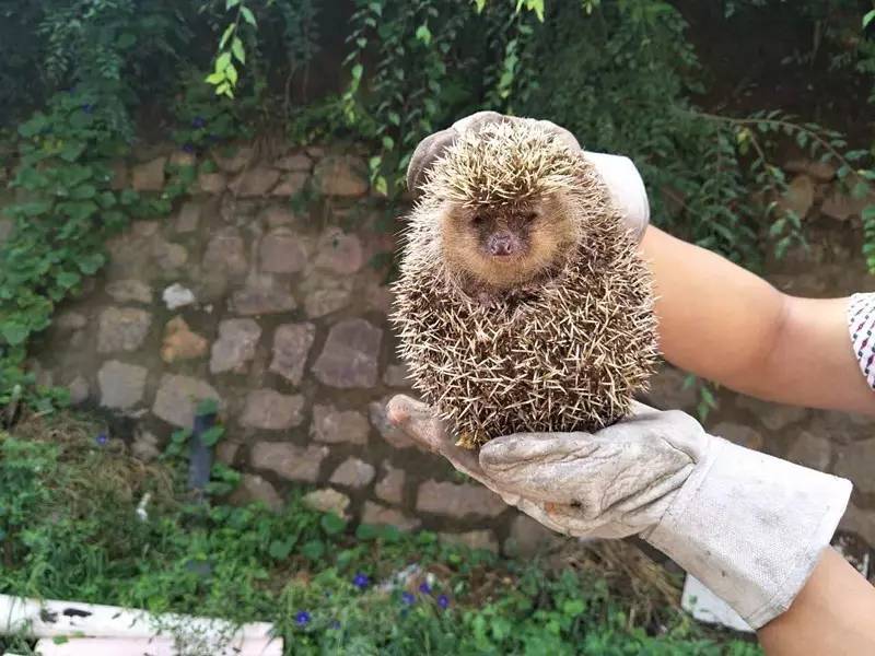 520名学子得到105万助学金；广仁大街旱河沿岸新添3座移动公厕；信“苗药”花5万，病没治好反而加重……