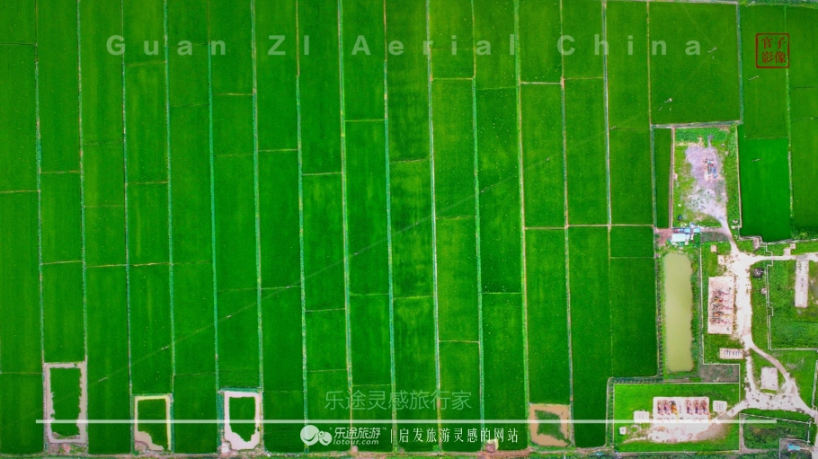 亚洲最大的天然红地毯,世上最出名的红地毯