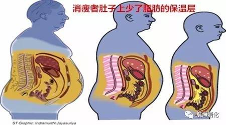 你的肠胃有问题,你的肠胃真的健康吗