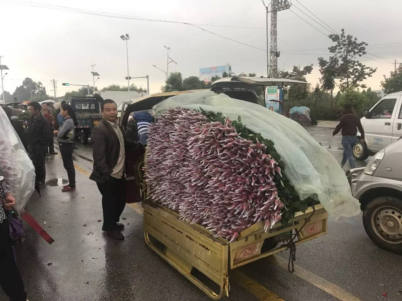 云南农资市场最新消息,云南农资市场咋样