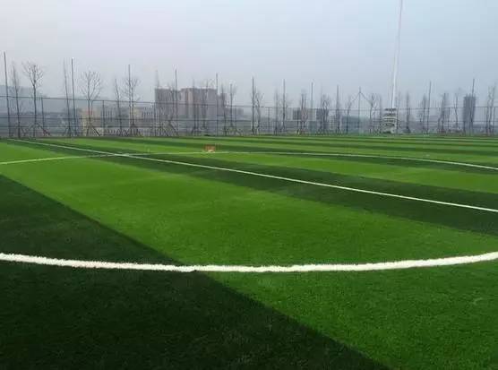 牛万莹武汉理工,牛武大