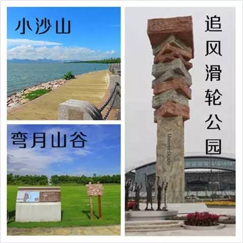 深圳的粉红花海,深圳中心公园藏着浪漫花海