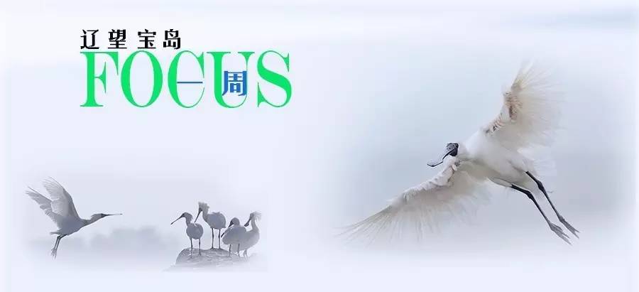 「一周FOCUS」2017年09月01日