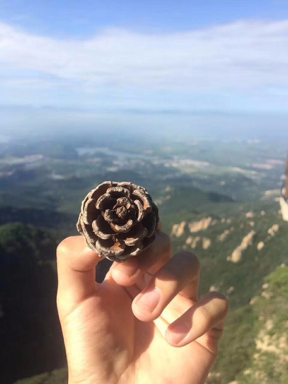 又是一年蒙山夜宿季
