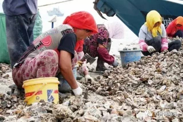 开海哪里的海鲜最便宜,威海开海适合买什么海鲜