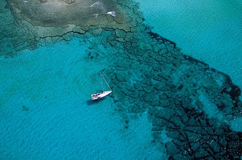有意思｜跟好心情私奔，有些道理在岸上知不道