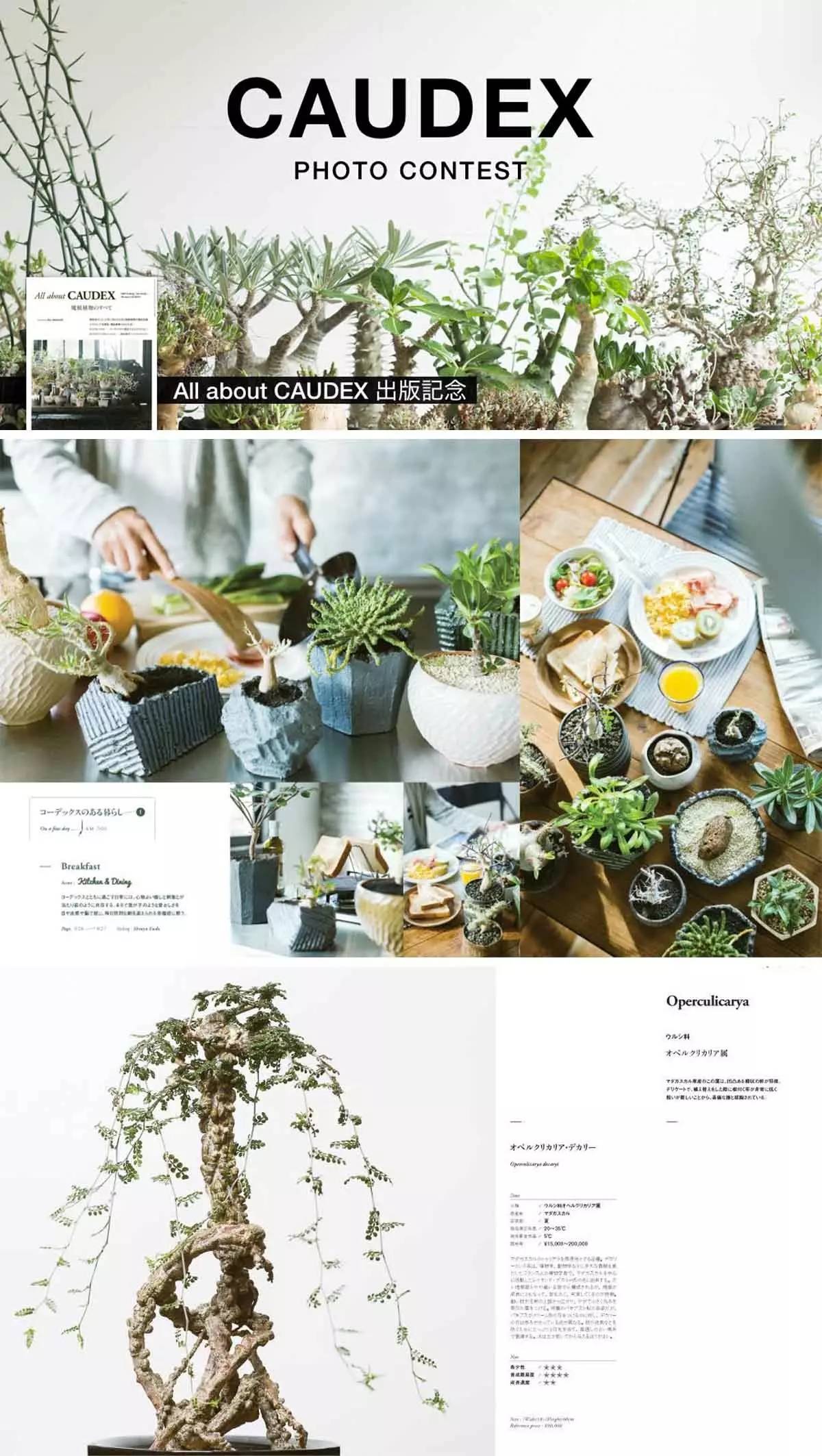 NBHD被人吐槽的支线,偏偏我就喜欢│老司机的十件套