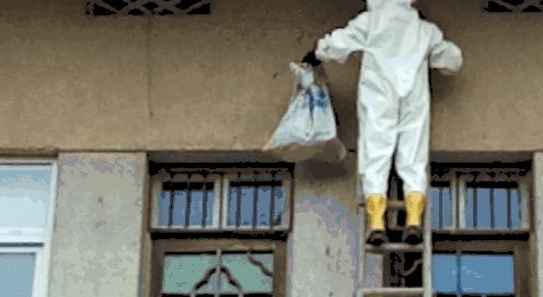 居民屋檐下惊现巨型马蜂窝,居民楼惊现马蜂窝消防队员一窝端