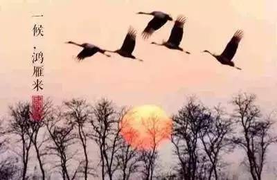 澶滆浜屽崄鍥涜妭姘斾箣鐧介湶,鐧介湶鑺傛皵鍏荤敓