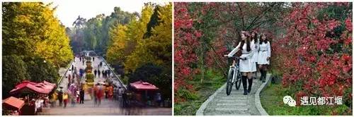 都江堰的伟大和奇妙之处 (都江堰精华部分图片)