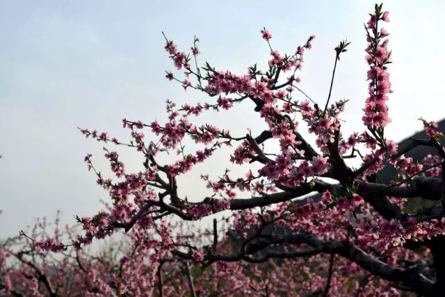 丰润景色好的地方,丰润景色最好的地方