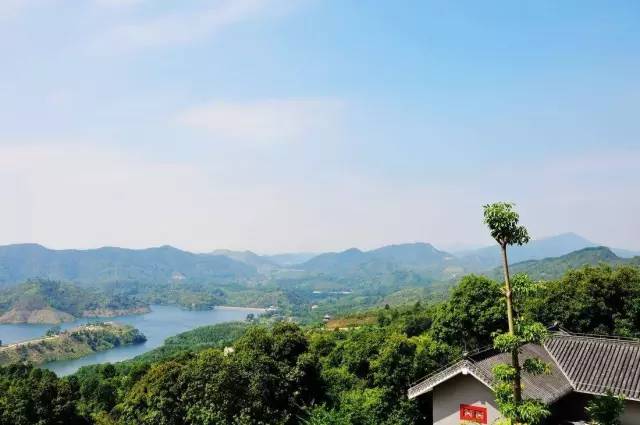 深圳市深汕特别合作区最新设计图,深汕合作区未来核心区域