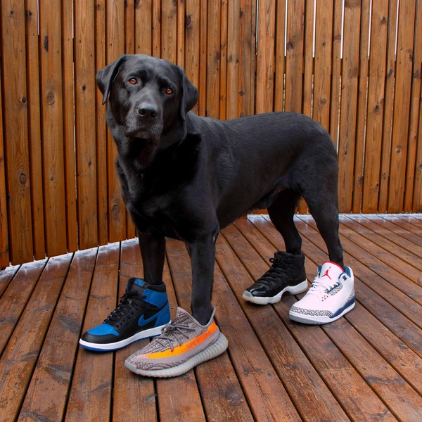 神仙水可以用来当防晒吗,用完神仙水直接用防晒隔离可以吗