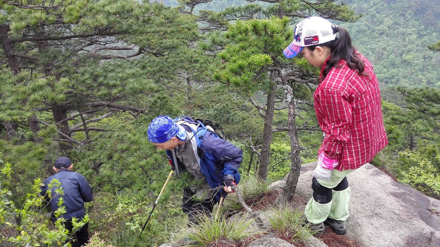 走近你就走进了痛苦出自哪里,走近你就是走近痛苦