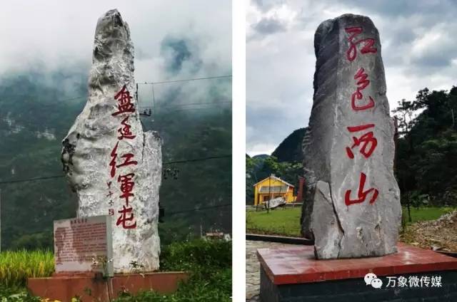头条丨大家好！我叫巴马，这是我的简历，请多多关照！
