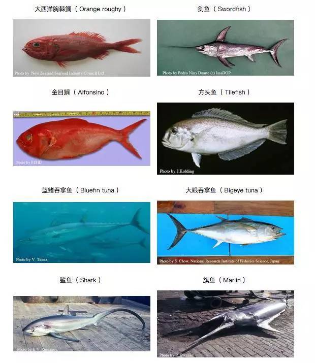 你还在给孩子吃零食吗,宝宝鳕鱼选择