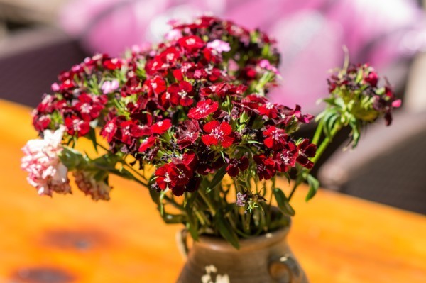 Hi,我是小可，我又回来了，产后第一次出行，娘子军奔赴女儿国