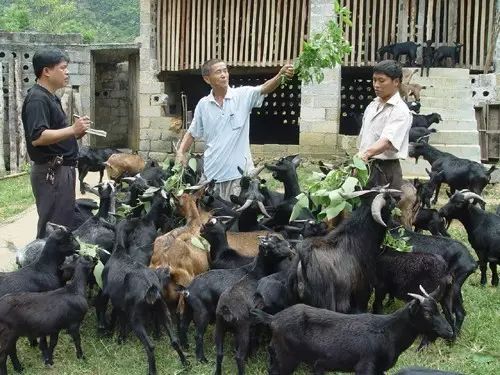 头条丨广西25个山清水秀的小城，风景不但美绝，还都是长寿之乡！