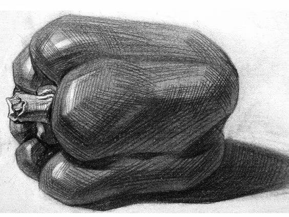 素描静物不会默写,素描不会画光影怎么办