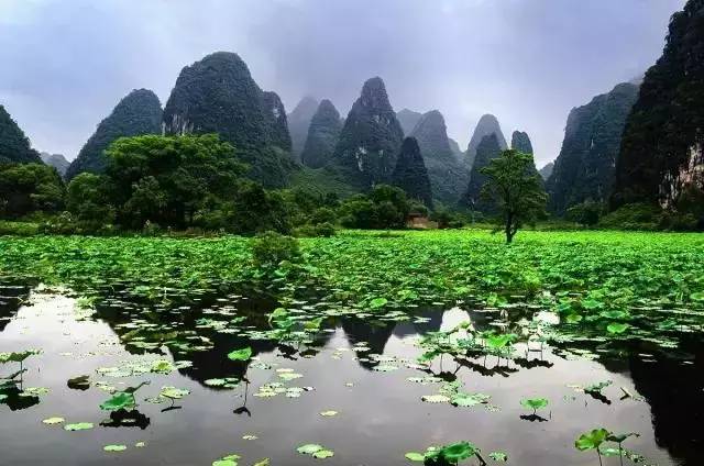 头条丨广西25个山清水秀的小城，风景不但美绝，还都是长寿之乡！