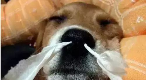 吐血整理干货满满建议收藏,吐血整理的6条建议