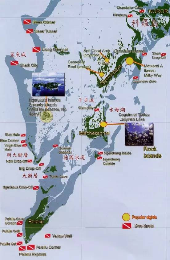 从入门级到朝圣级，职业潜水教练告诉你船宿该怎么选