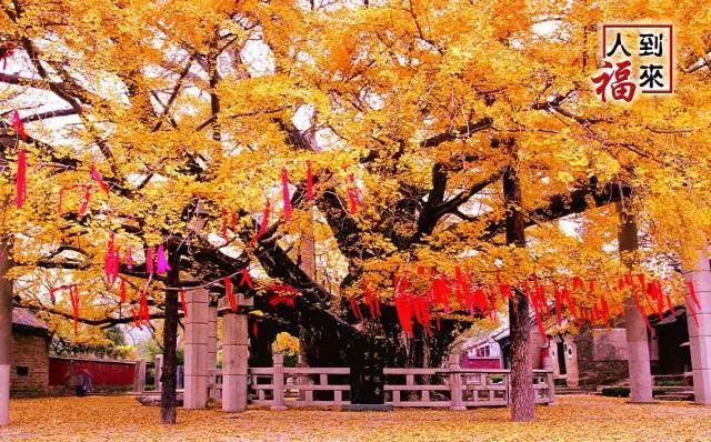 日照天气,日照有什么好玩的地方