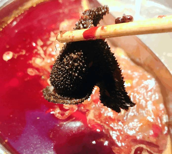 薛之谦出现在串串店,薛之谦的串串店在哪里