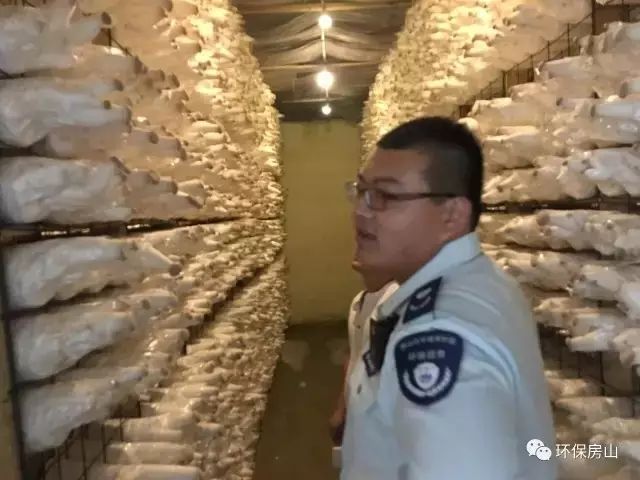 房山环保综合执法,朝阳区环保整改