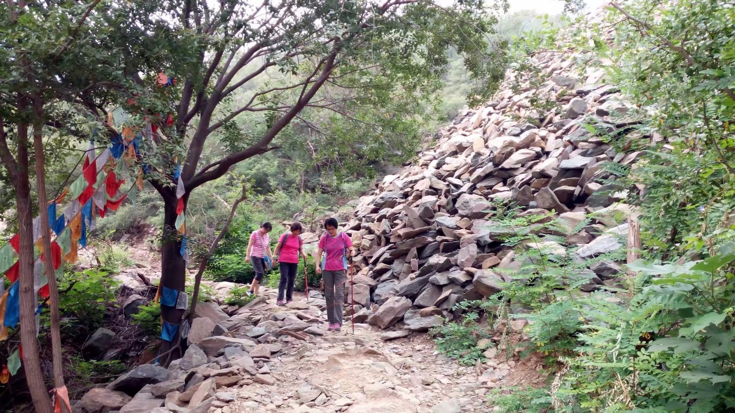 龙泉寺山小环穿——与教师一起爬山庆祝教师节