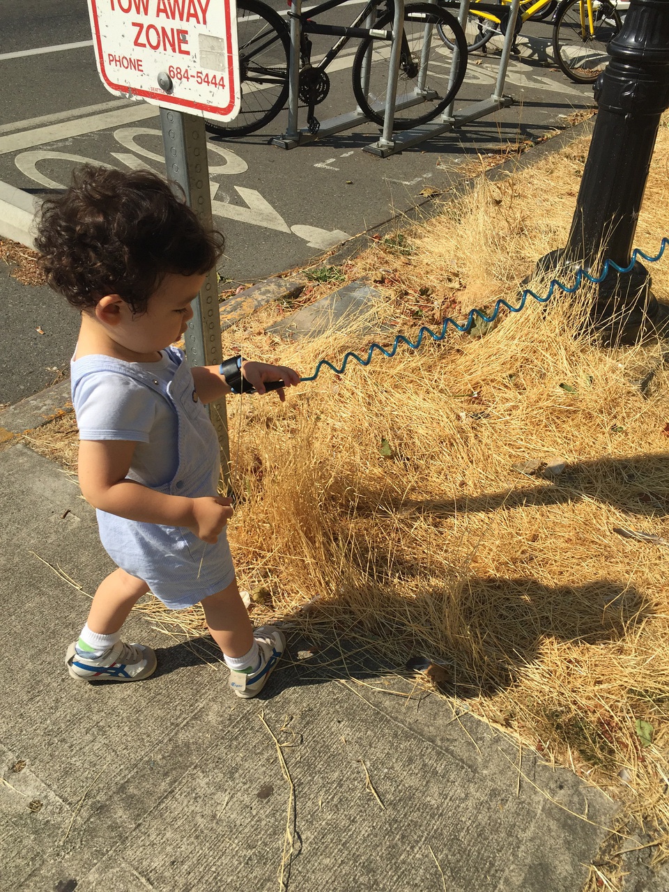 豆瓣日记无法转为公开内容,豆瓣日记孤独终老