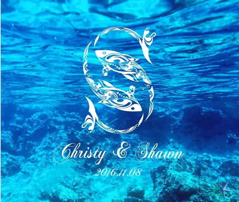 铚滃尃濠氱ぜlogo鍒涙剰,濠氱ぜ绛栧垝鏍囧織璁捐