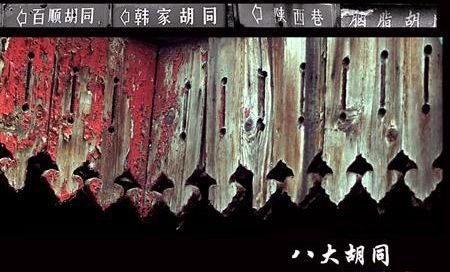 鍖椾含娓哥帺璞嗙摚,璞嗙摚娲诲姩鍖椾含