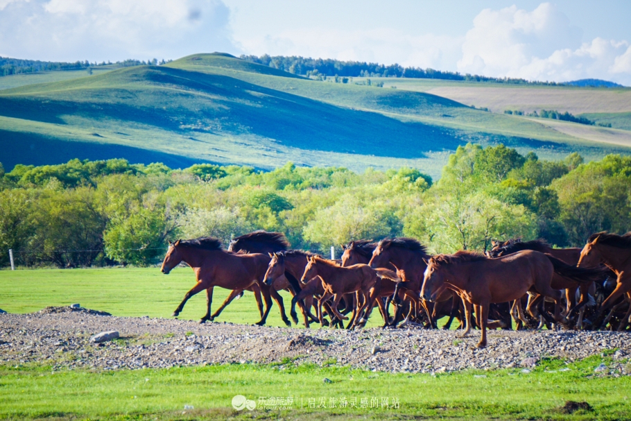 现代中国赤兔马,当代赤兔马