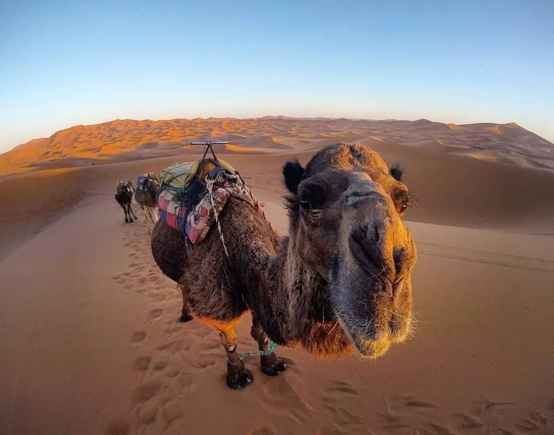 目的地｜坐在五彩的飞毯上，走进摩洛哥的一千零一夜