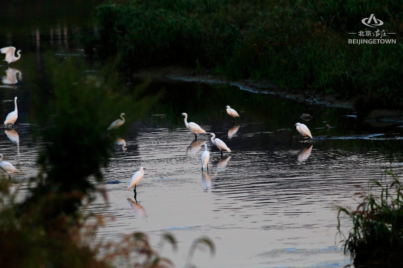 快来领取你的可爱姓氏壁纸,免费领取动态热门主题壁纸