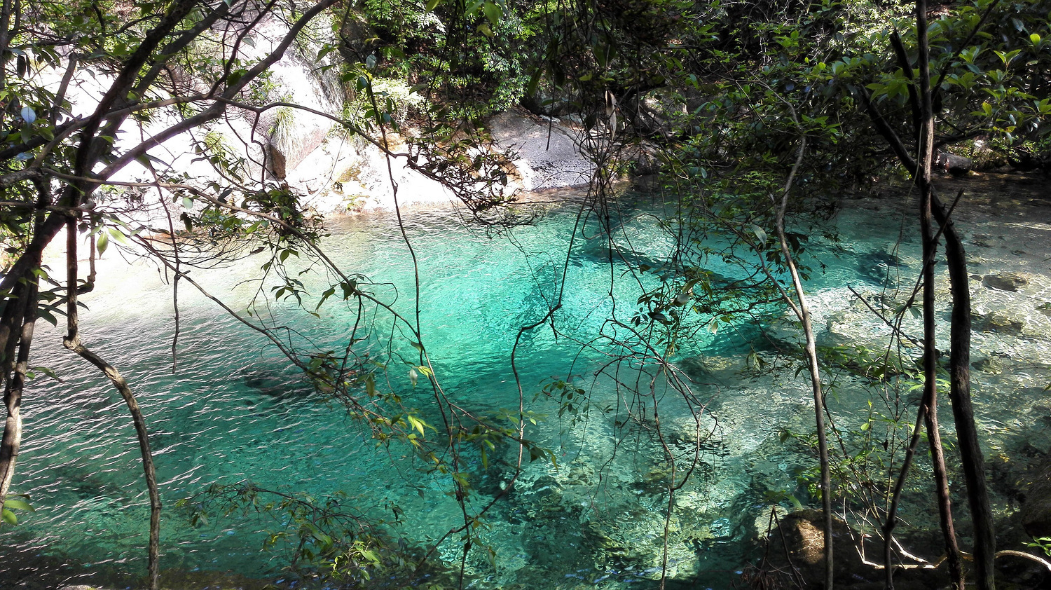 走近你就走进了痛苦出自哪里,走近你就是走近痛苦