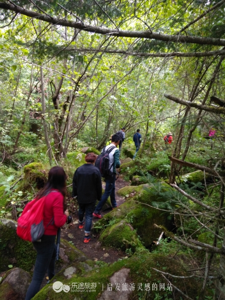 火山口探秘完整视频,镜泊湖火山口免费景点