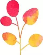 亚马逊限制产品停用账号,亚马逊限制新品发货