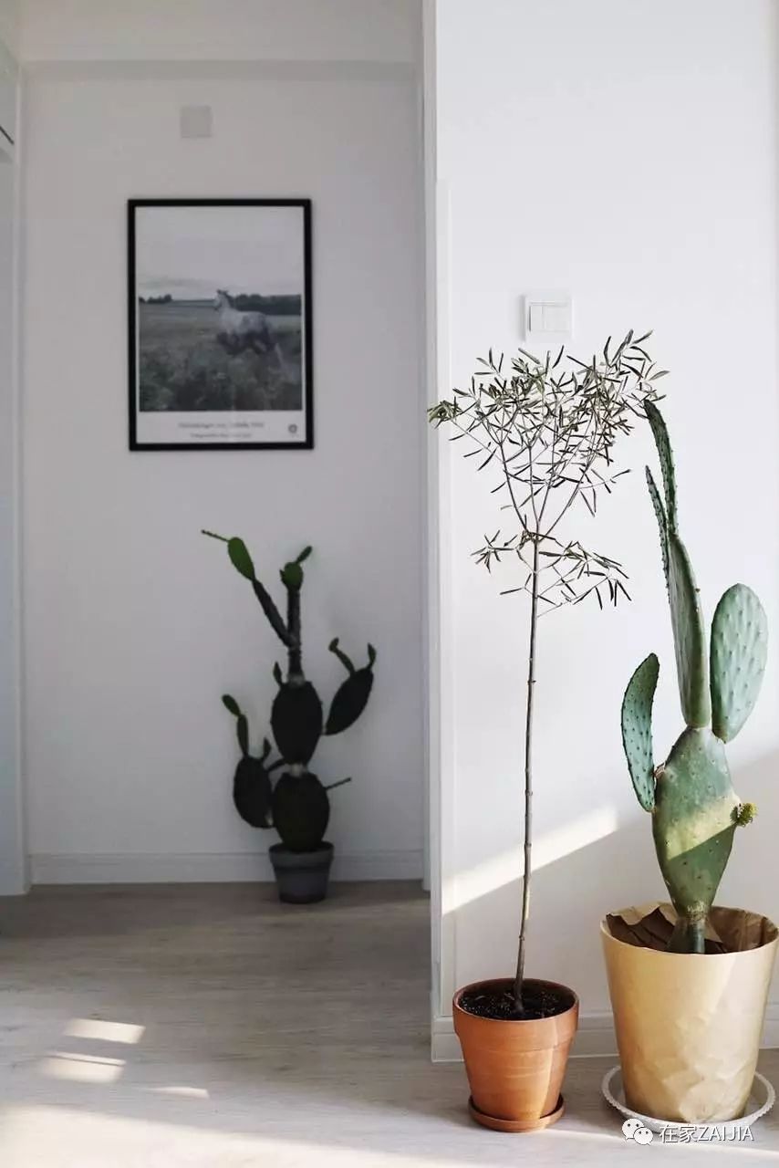 20万装修预算需要请设计吗,20万预算的装修设计